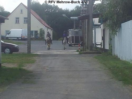 Click on the photo for the original